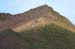 167-Dall Sheep
