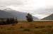 050-Tidal Flat Meadow
