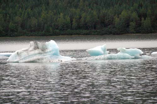 059-Ice Bergs