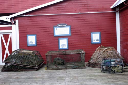 091-Crab Traps