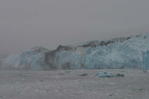 115-Harbor Seal Colony by the Glacier