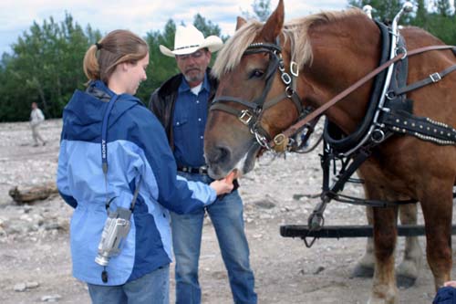 147-Kathryn Feeding the Horse